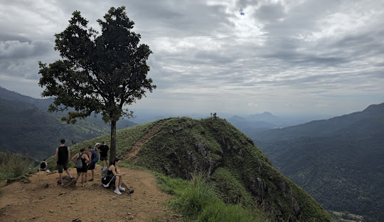 Ella Scenic Adventure