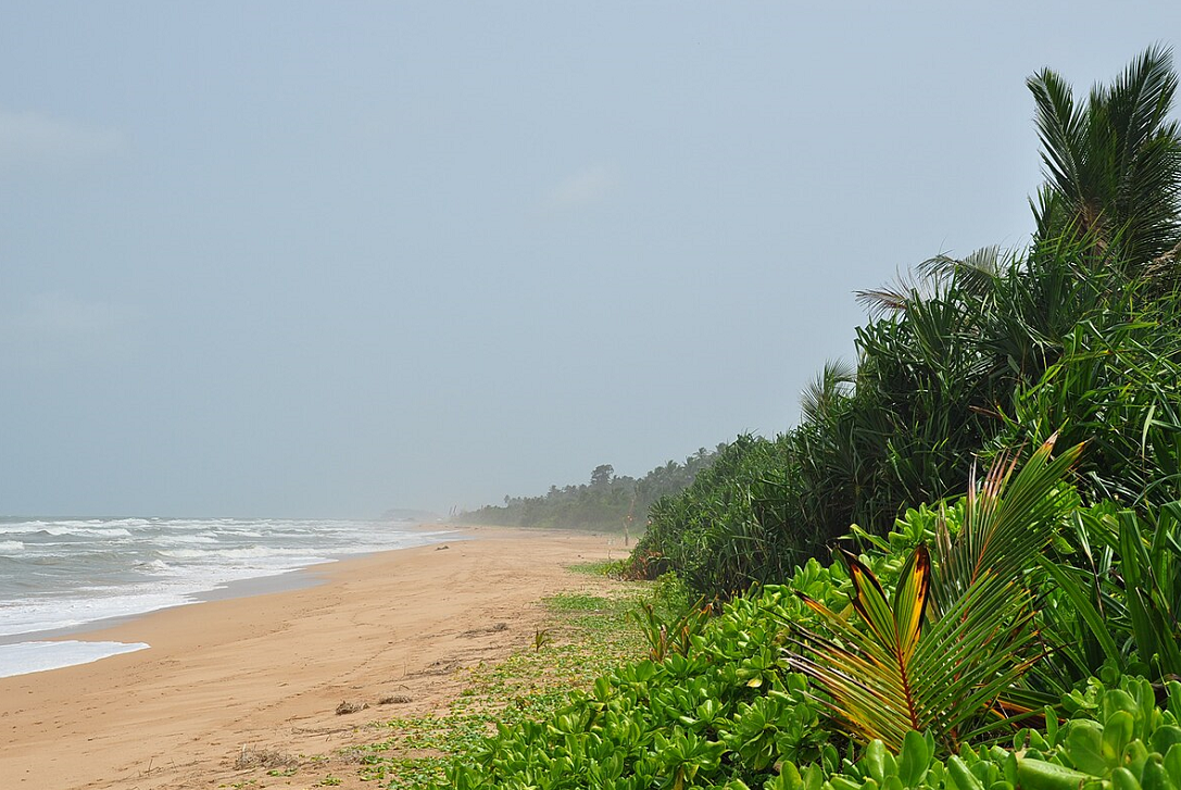 Bentota