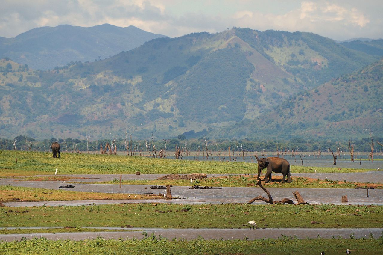 Udawalawe National Park